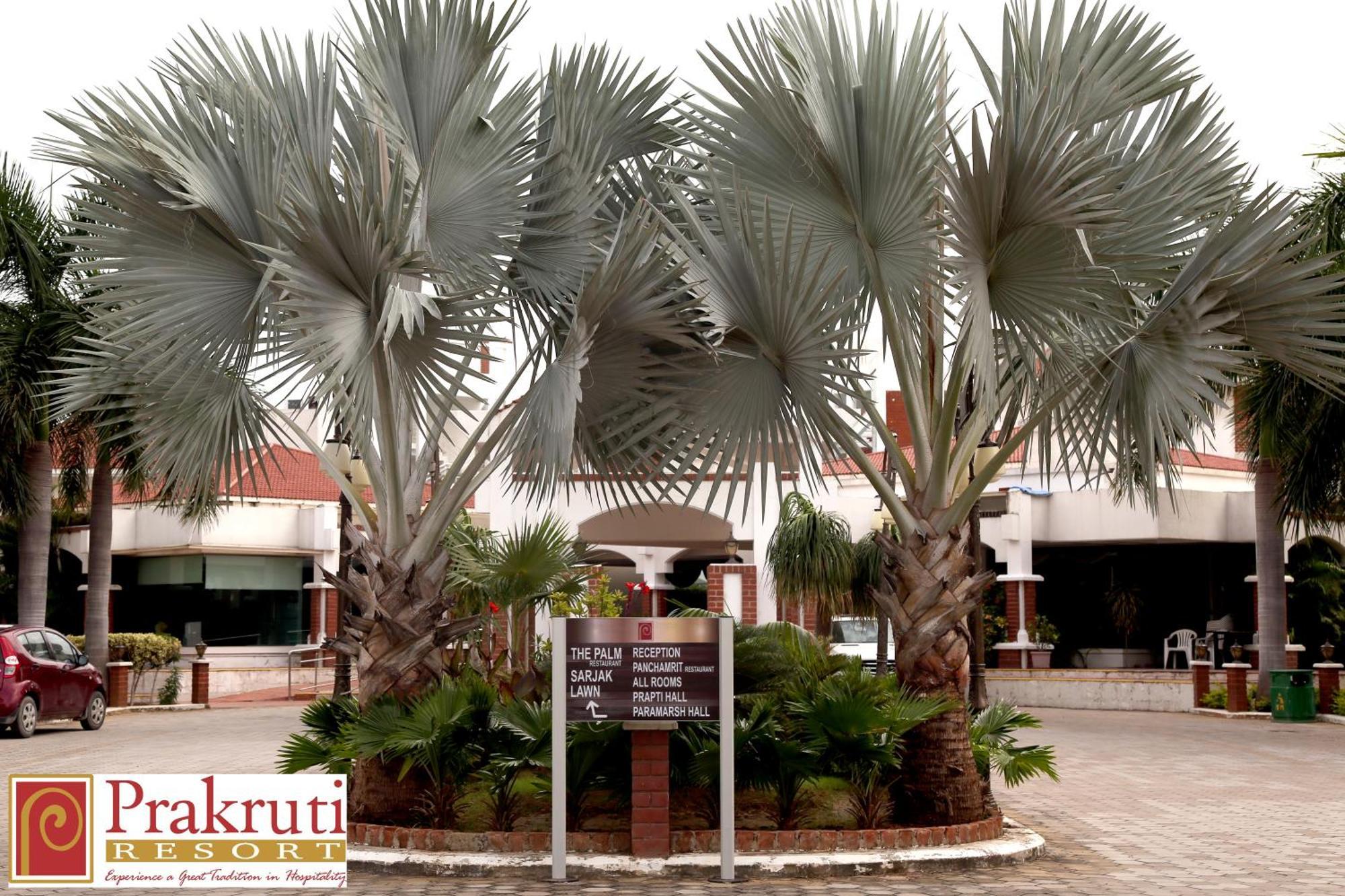 Prakruti Resort 巴罗达 外观 照片